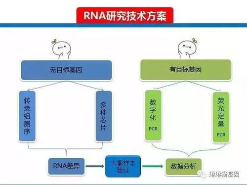 解密基因科研的底層邏輯與數(shù)字化賦能之路